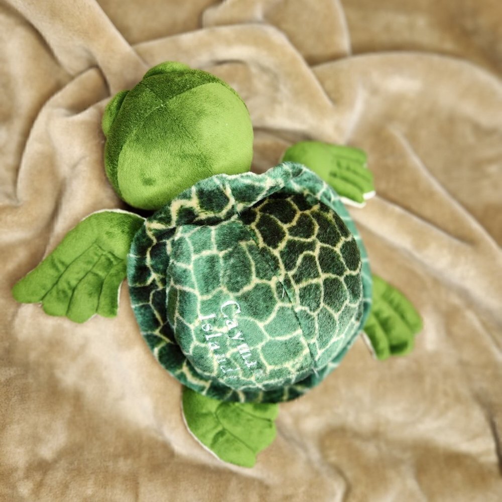 Stuffed Animal - Turtle - Picture 2 of 5